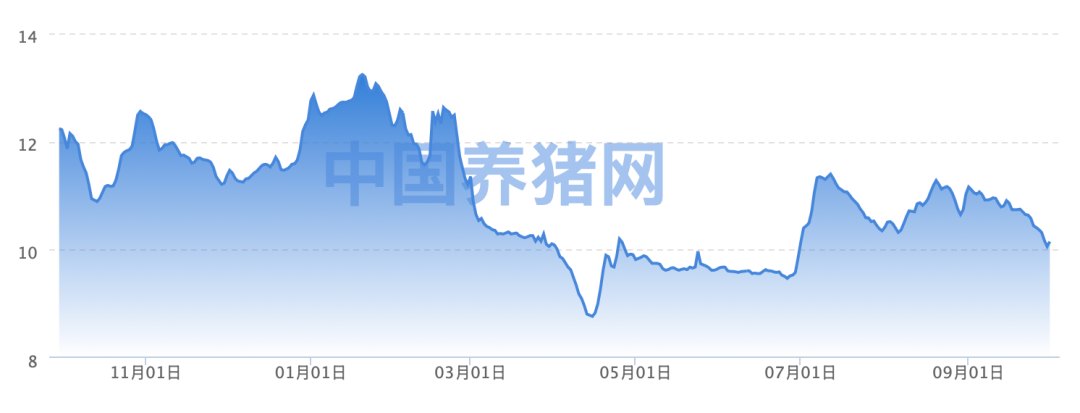 猪价继续寻底，市场格局生变 | 期势新洞察
